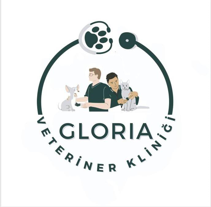 kadıköy veteriner kliniği